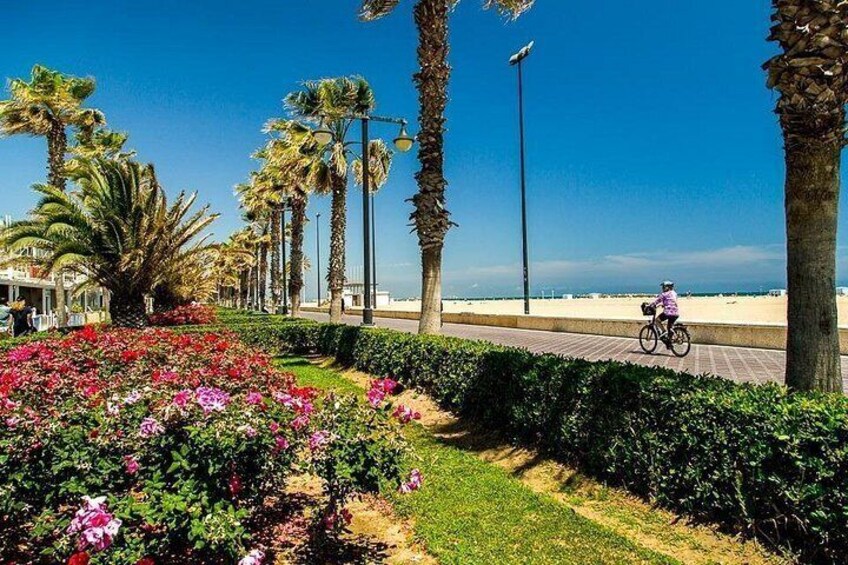 A cyclist on a paved path, palm trees, and a beach in the background. 2