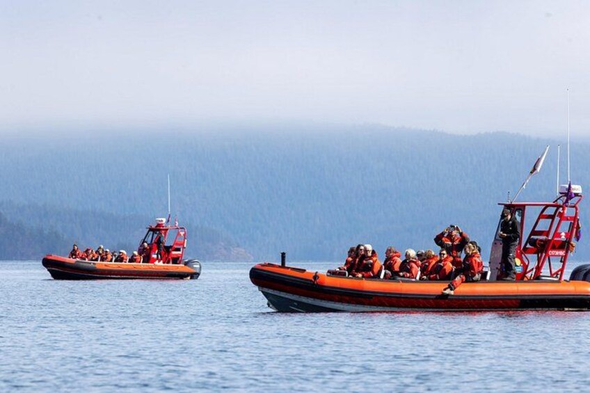 Dos embarcaciones de rescate naranja sobre aguas tranquilas, con montañas al fondo. 2