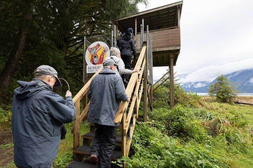 Personas subiendo escaleras de madera hacia una estructura de madera con un letrero. 5