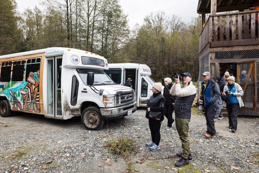 Campbell River: Bute Inlet Grizzly-Watching Tour & Boat Ride 2