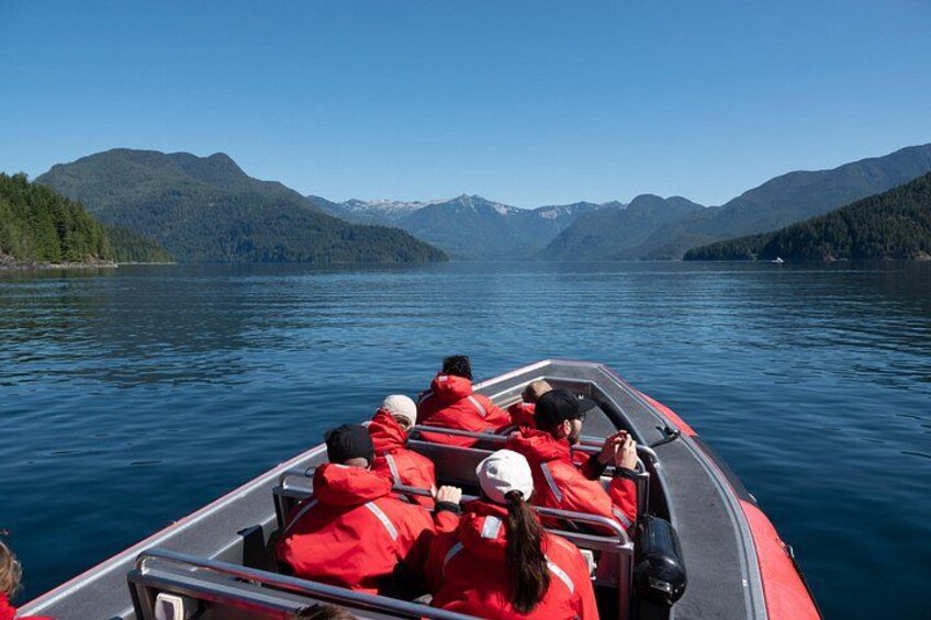Zodiac Boat Whale and Wildlife 7-8-Hour Tour from Campbell River 5