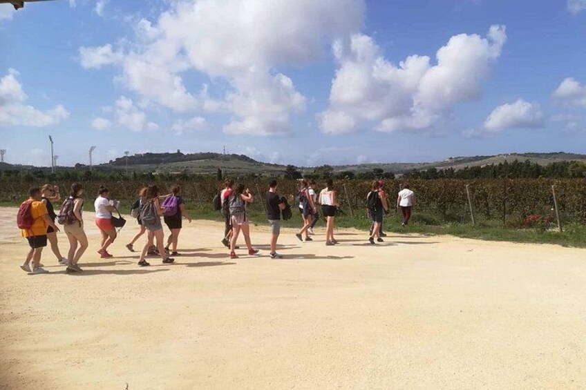 Half Day Private Tour Around Malta 3