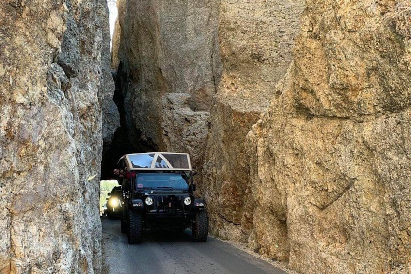 The Only Full Day - Jeep Bison Safari - W/ Lakeside Picnic Lunch 5