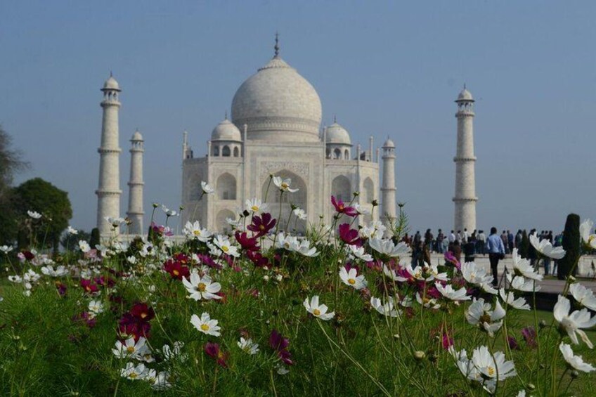 Taj Mahal with Nature 2