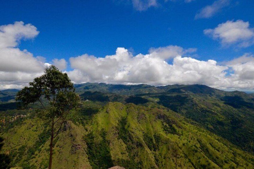 A mountainous landscape with a prominent tree in the foreground and a clear blue sky with scattered clouds. 5