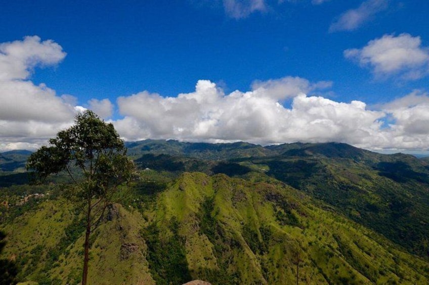 Un paisaje montañoso con un árbol destacado en primer plano y colinas onduladas al fondo bajo un cielo azul con nubes. 5