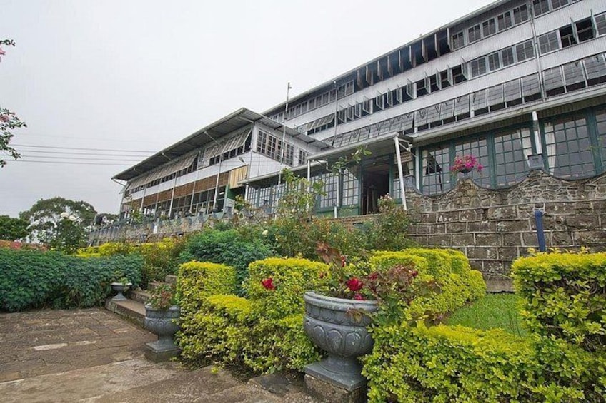 Un edificio con fachada de piedra, grandes ventanales y un jardín con arbustos bien cuidados y plantas en macetas. 3