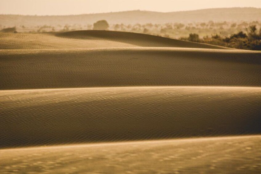 sand dunes 