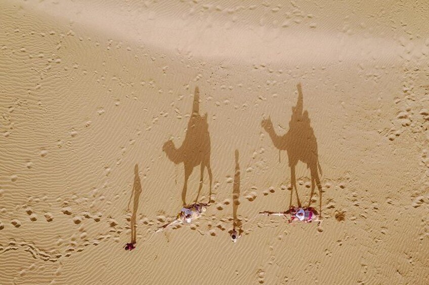 Camel safari