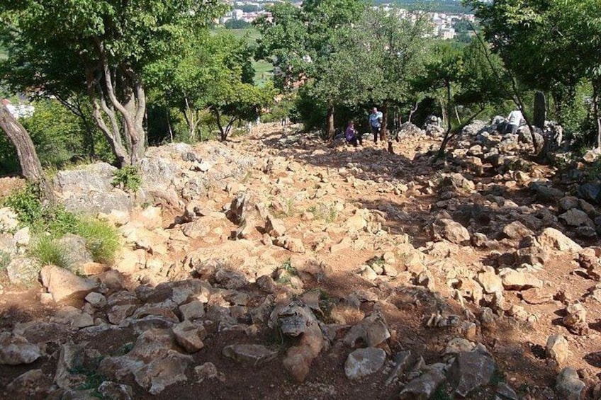 A rocky terrain with scattered trees and a distant view of buildings. 4