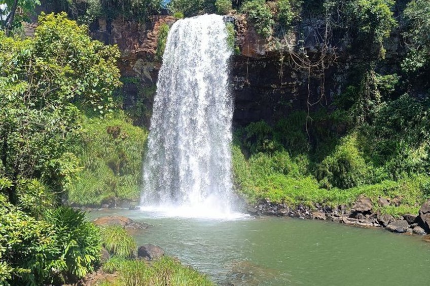 Una cascada que se precipita en un río rodeado de exuberante vegetación. 2