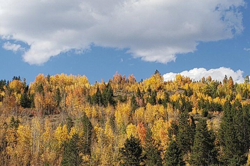 Fall colors 2
