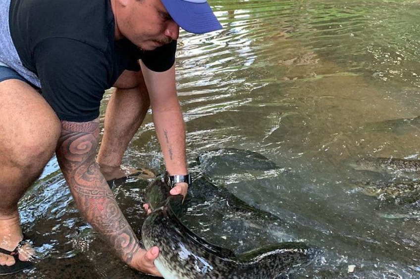 Feeding the Eel 4