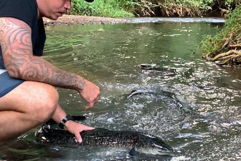Feeding the Eel 5