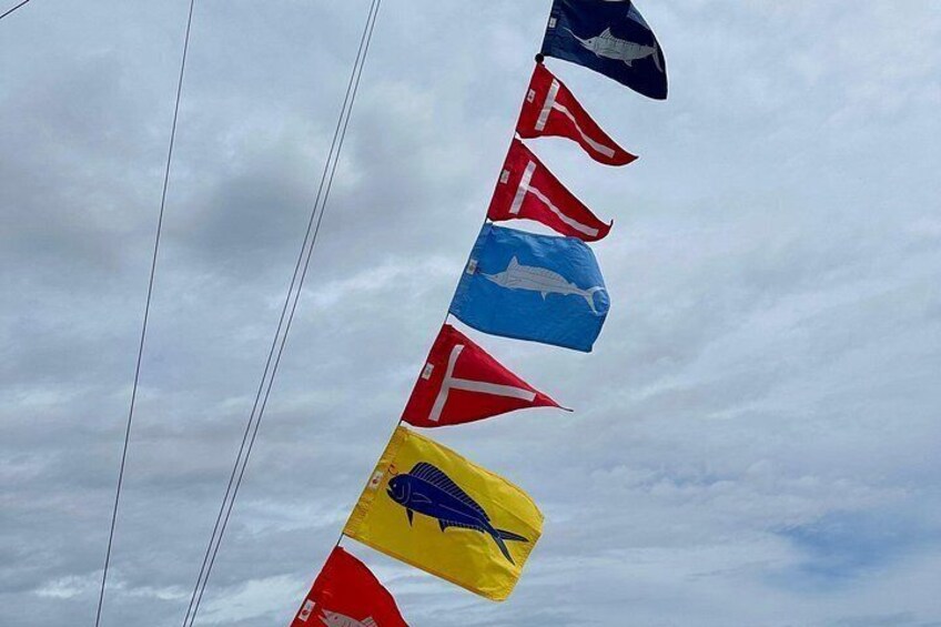 Un hilera de banderas contra un cielo nublado. 2