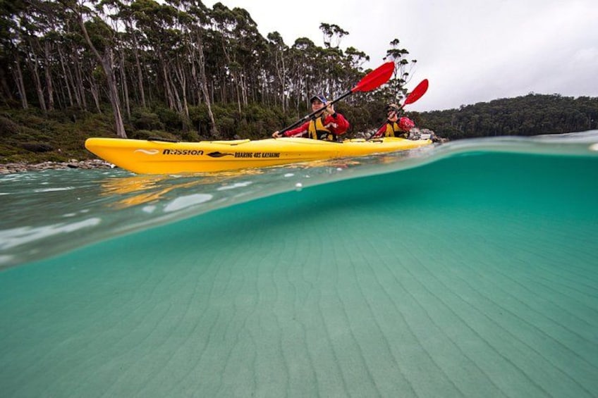 A yellow kayak with two paddlers on a turquoise river surrounded by dense forest. 4