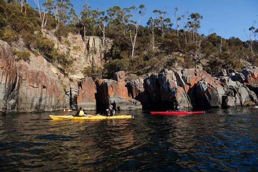 Kayaking Hobart's Coastline