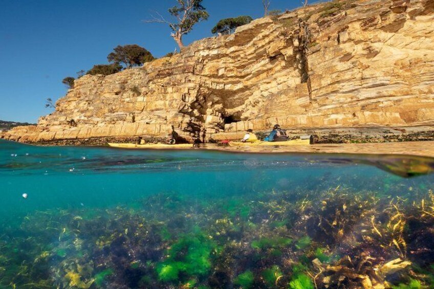 Below and above the water along Hobart's Coastline