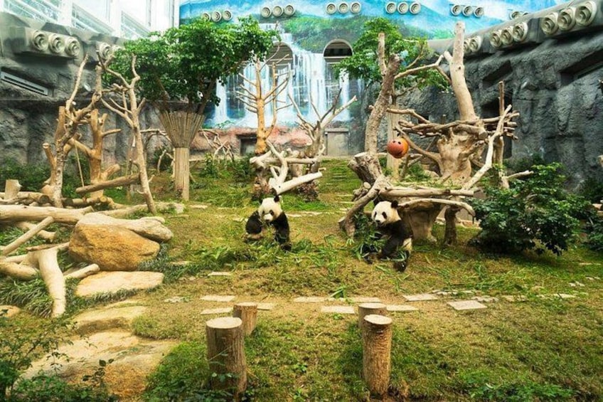 Macau Private Tour with an Insider 1