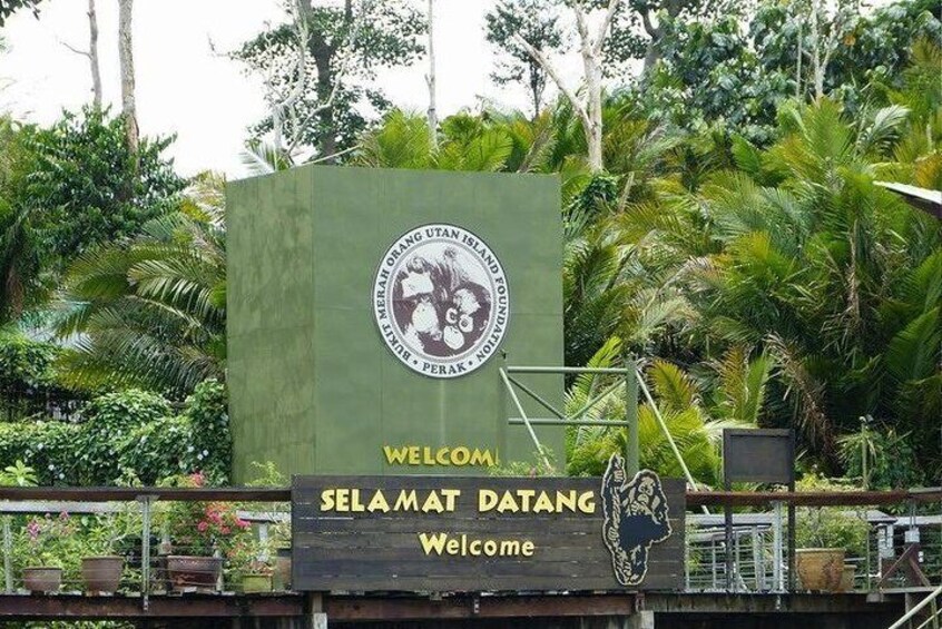 Bukit Merah Orang Utan Island Foundation