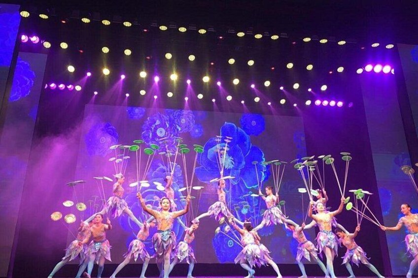 Acrobatics Show with Private Driver Service and Hotel Round Transfer 1