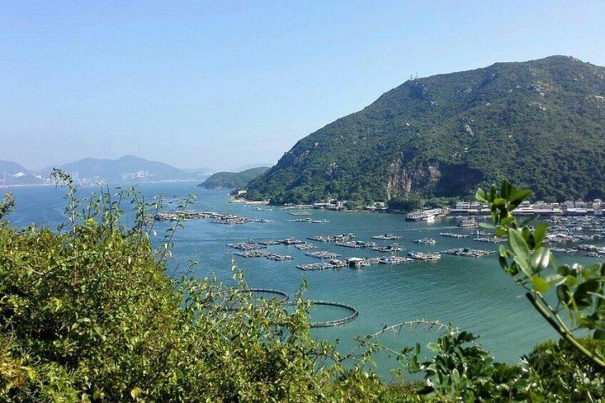 Private Day Tour Of Hong Kong: Lamma Island Including Transfer 3