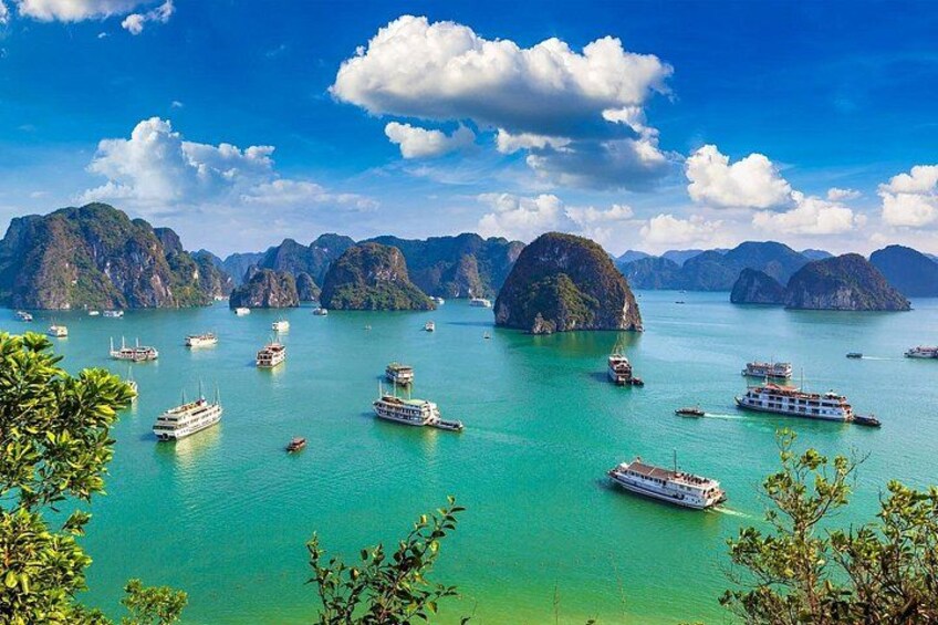 Shore Excursion: Amazing Day Cruise at Ha Long Bay 1