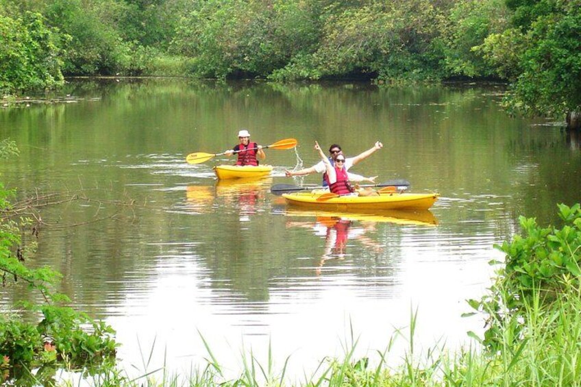 Goa Kayaking Sal Backwaters Mangroves Magic! 2