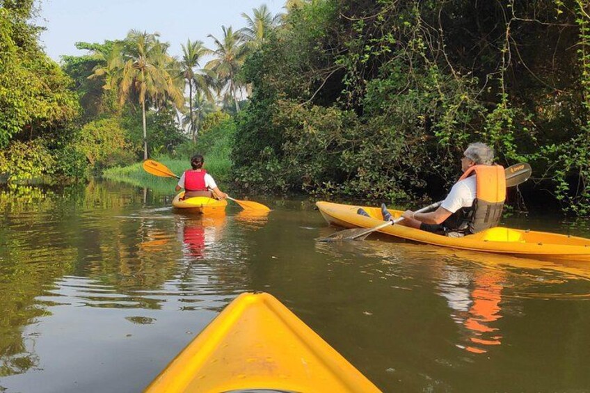 Goa Kayaking Sal Backwaters Mangroves Magic! 3