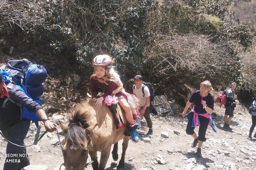 A group of hikers on a rocky trail with a child riding a pony. 2
