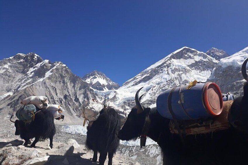 Mt Ama Dablam Peak Expedition 2