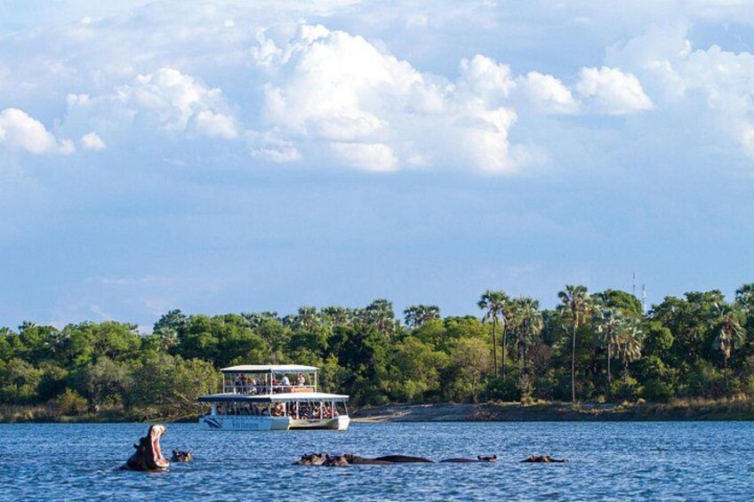 Un bote en un río con orilla arbolada y cielo despejado. 3