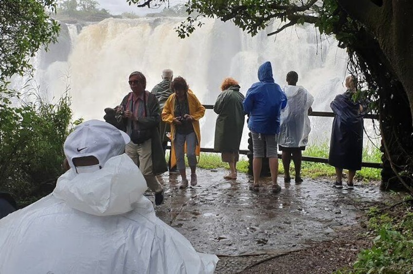 A group of people standing by a waterfall, some wearing raincoats. 1