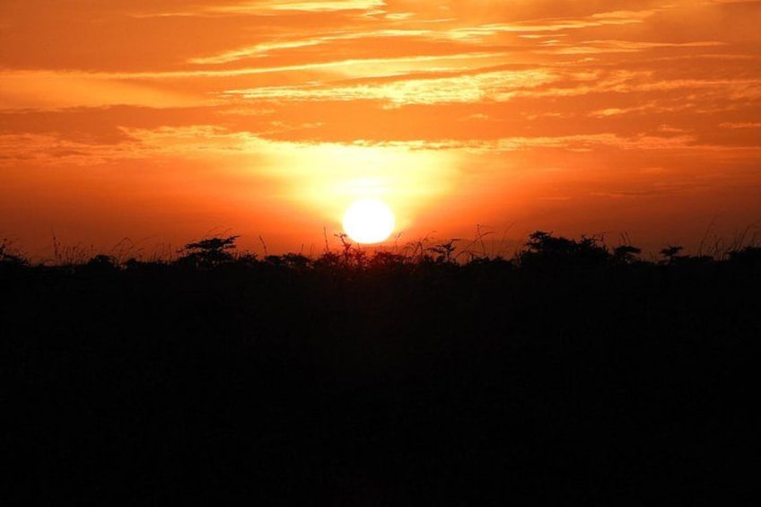 A sunset with the sun low on the horizon, silhouetted vegetation, and a clear sky. 3