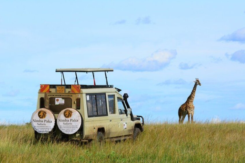 3 days masai mara safari from Nairobi 1