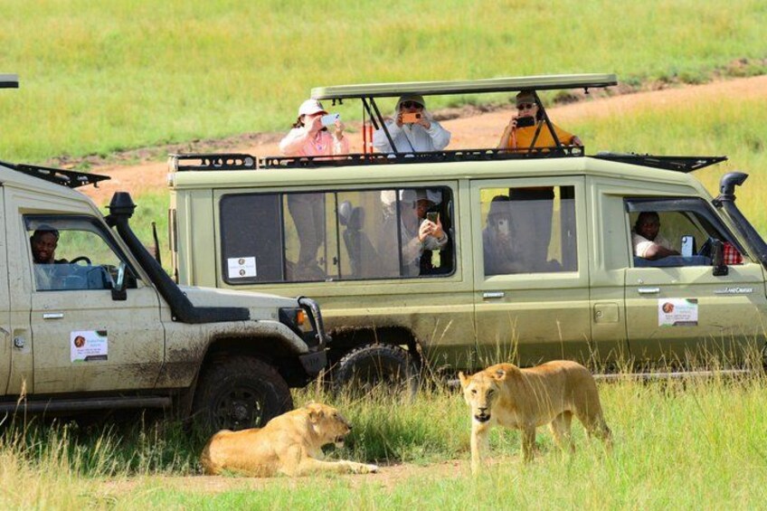 3 days masai mara safari from Nairobi 3
