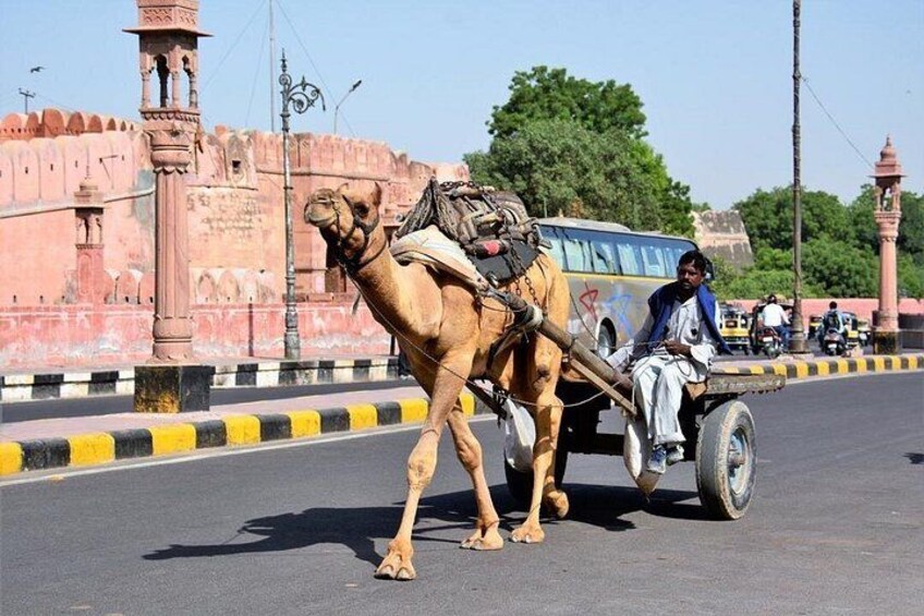 Private Luxury Delhi - Agra - Jaipur Golden Triangle Tour - 3 Nights 4 Days 2