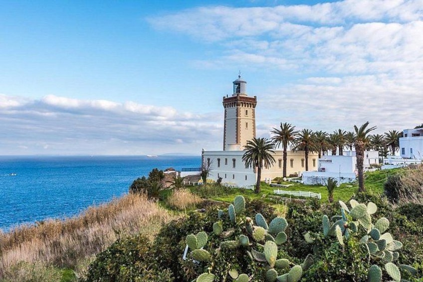 A coastal landscape with a lighthouse, white buildings, and cacti. 2