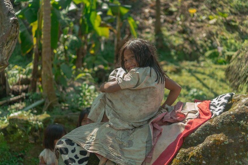 A person sitting on a rock in a lush, green forest. 4