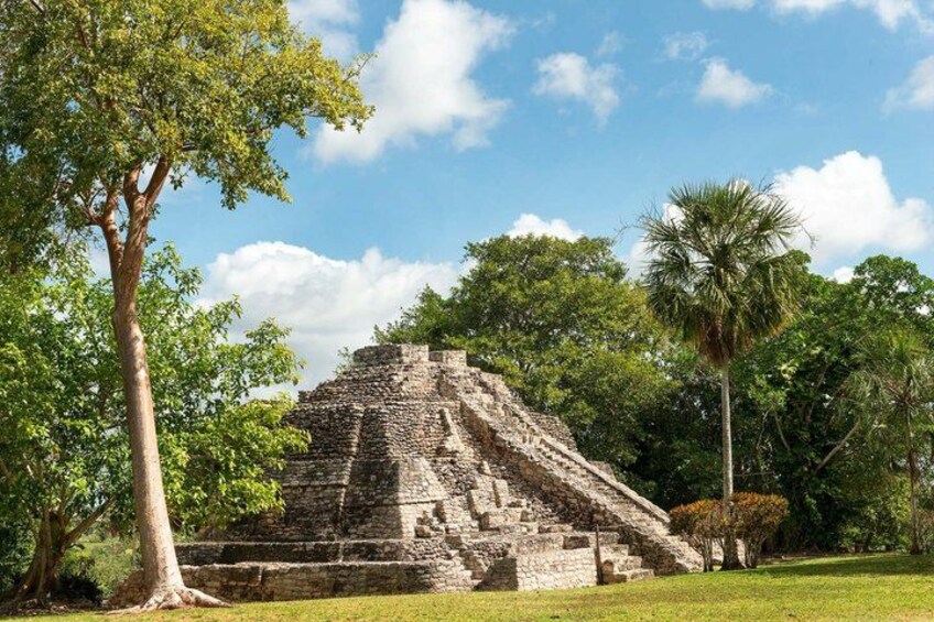 A pyramid structure surrounded by lush greenery and trees. 5