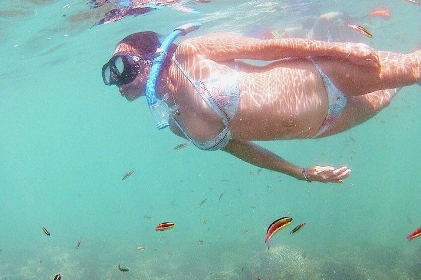 Eine Person schnorchelt unter Wasser, umgeben von Fischen. 1