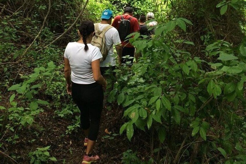 Menschen wandern durch einen dichten Wald. 3