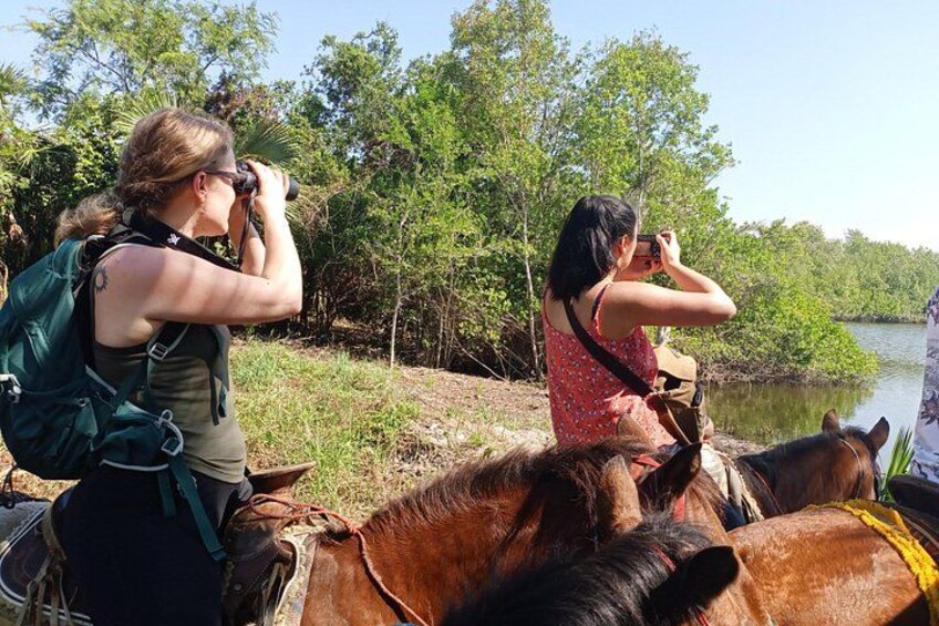 Horseback Riding Zihuatanejo 2