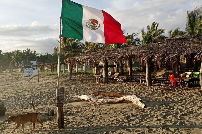 Horseback Riding Zihuatanejo 4