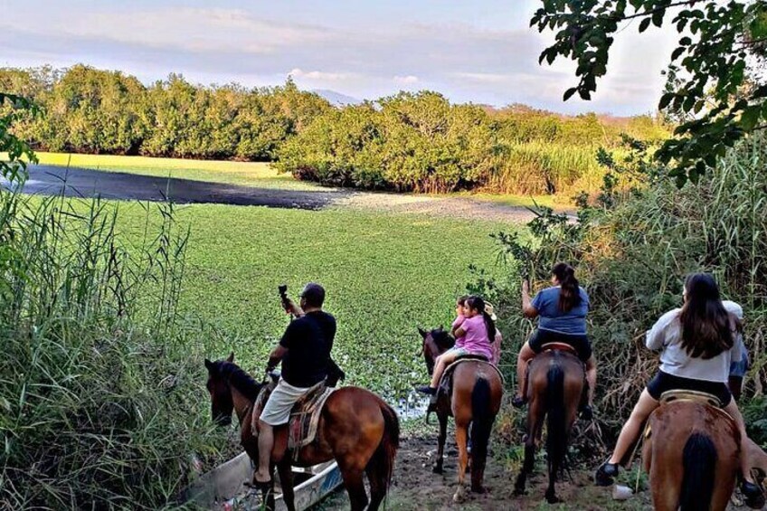 Horseback Riding Zihuatanejo