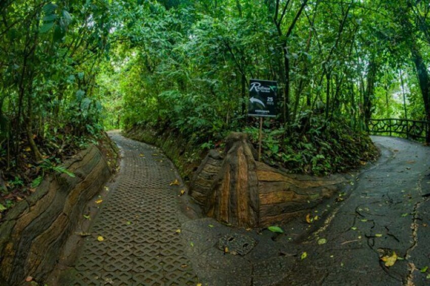 Hanging Bridges Trail 2