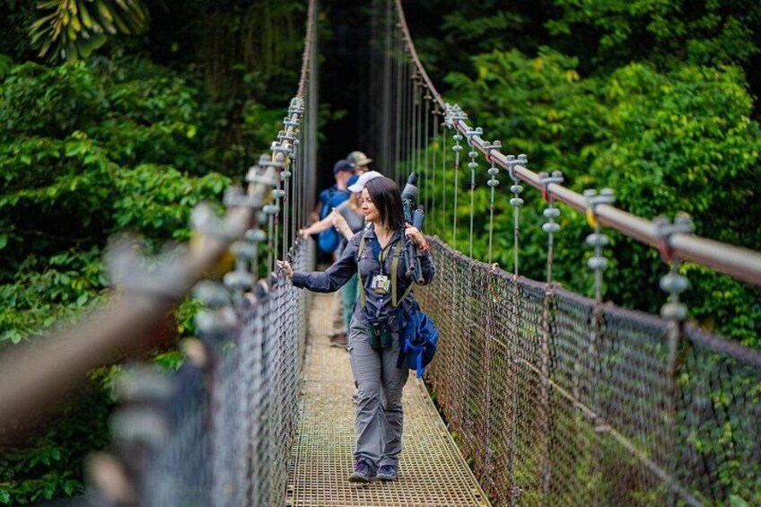 Hanging Bridges 1