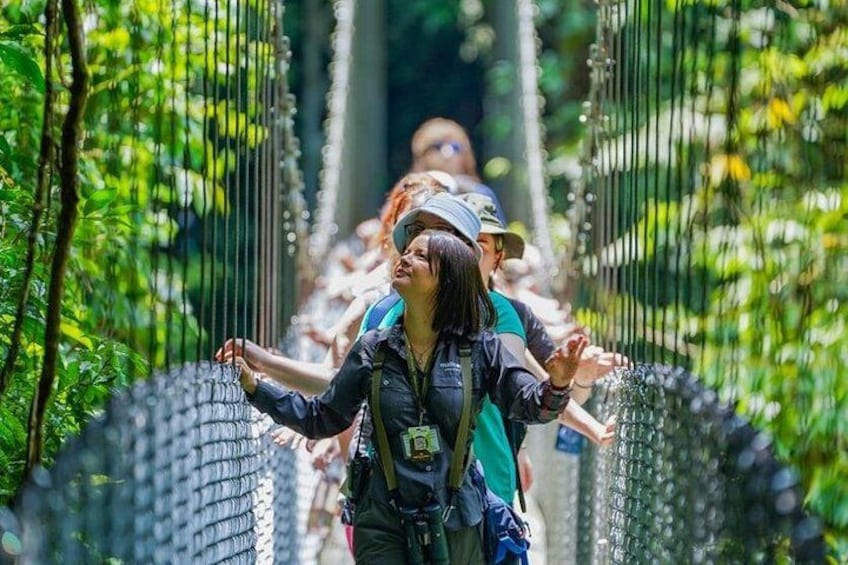 Arenal Hanging Bridges Self-Guided Walk at Mistico Park 2