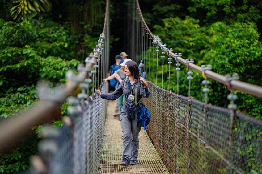 Hanging Bridges 1