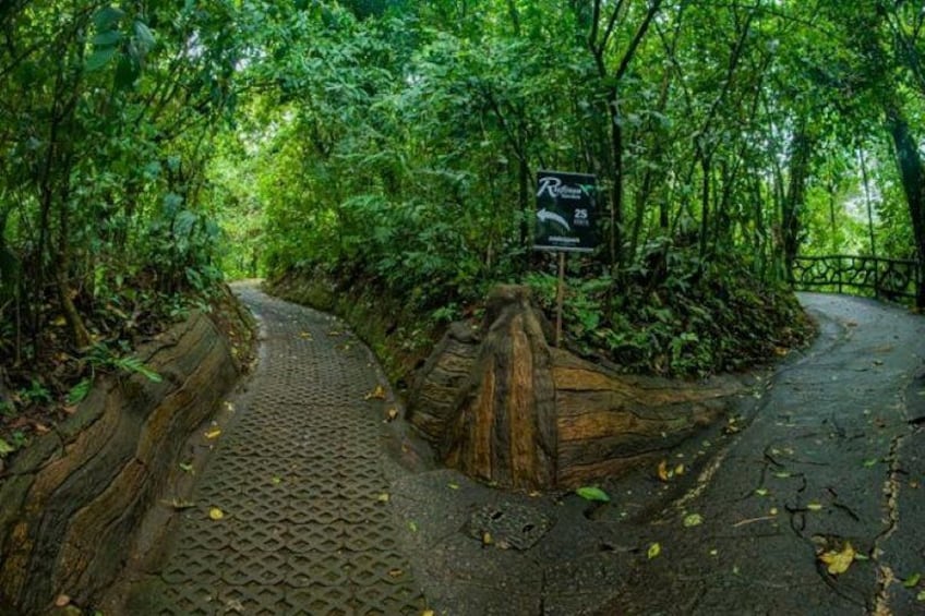 Hanging Bridges Trail 3